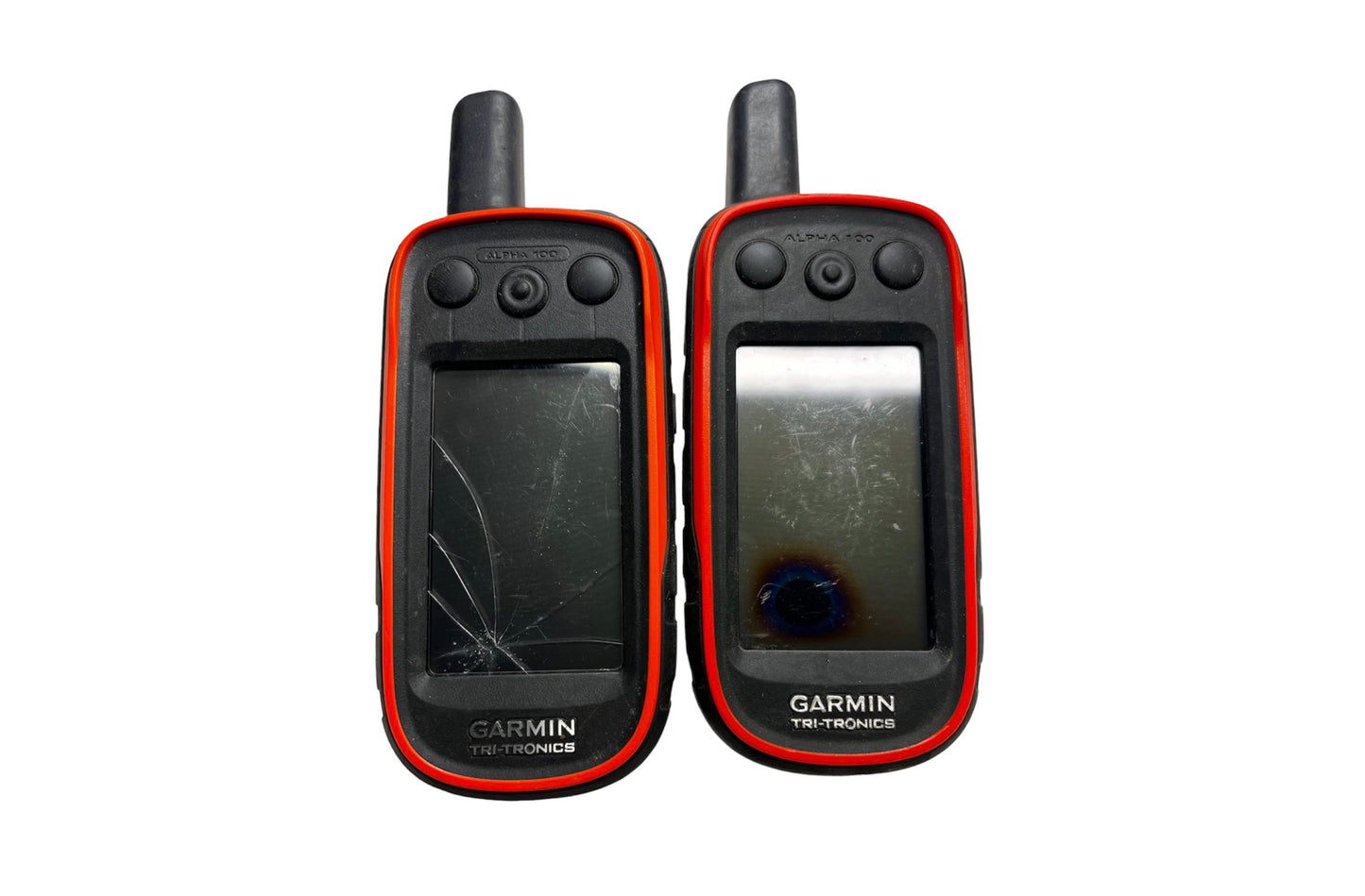Garmin Alpha 100 Screen Replacement