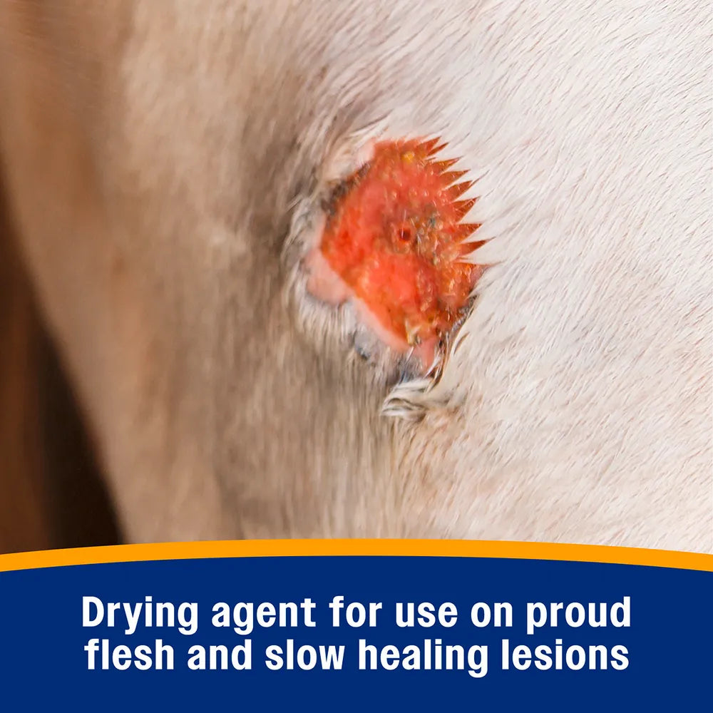 Wonder Dust Wound Powder