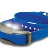 Dogtra 1900X Extra Collar/Receiver