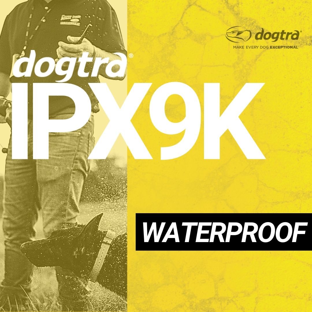 Dogtra EDGE RT Expandable