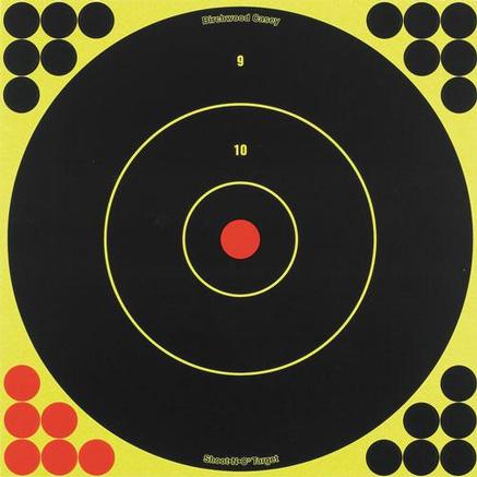 Birchwood Casey Shoot-N-C Bull 12" Bull's-Eye Paper Targets 5/ct