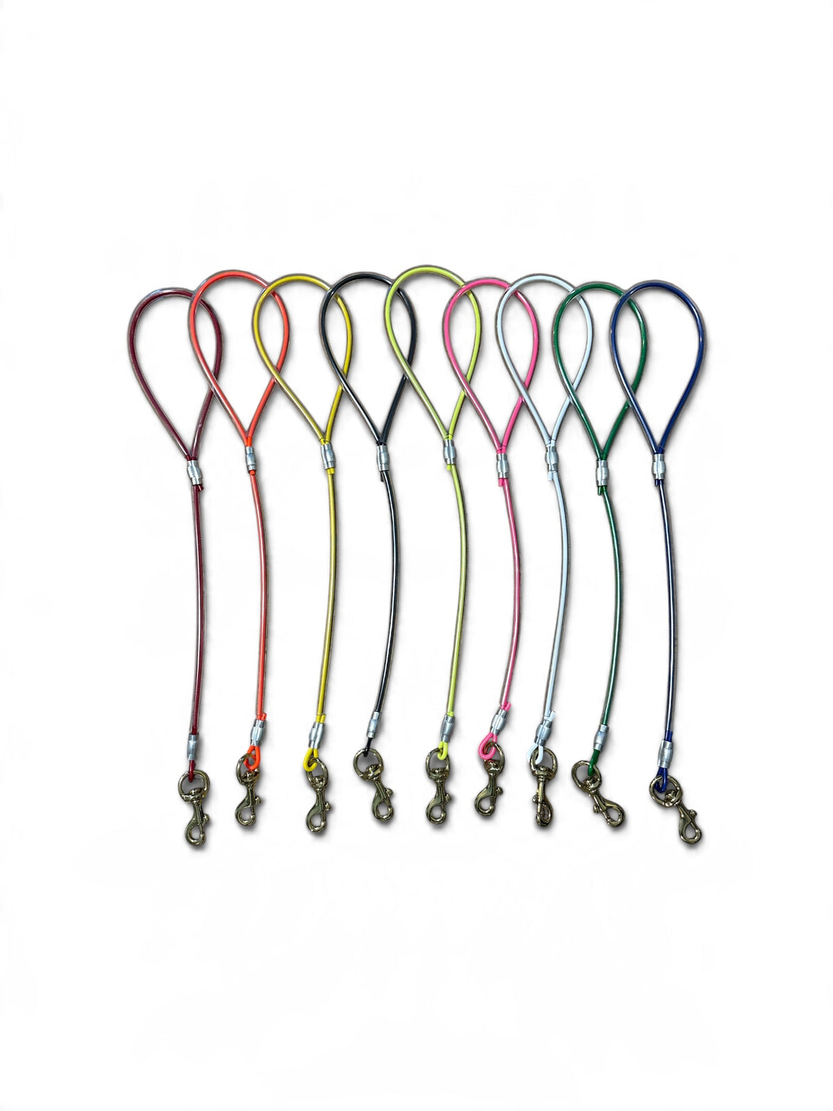 2 ft Cable Bully Lead