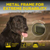Dogtra 1902X 2-Dog Unit