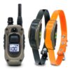 Dogtra 1902X 2-Dog Unit