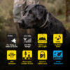 Dogtra 1902X 2-Dog Unit