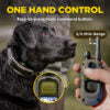 Dogtra 1902X 2-Dog Unit