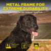 Dogtra 1902X 2-Dog Unit