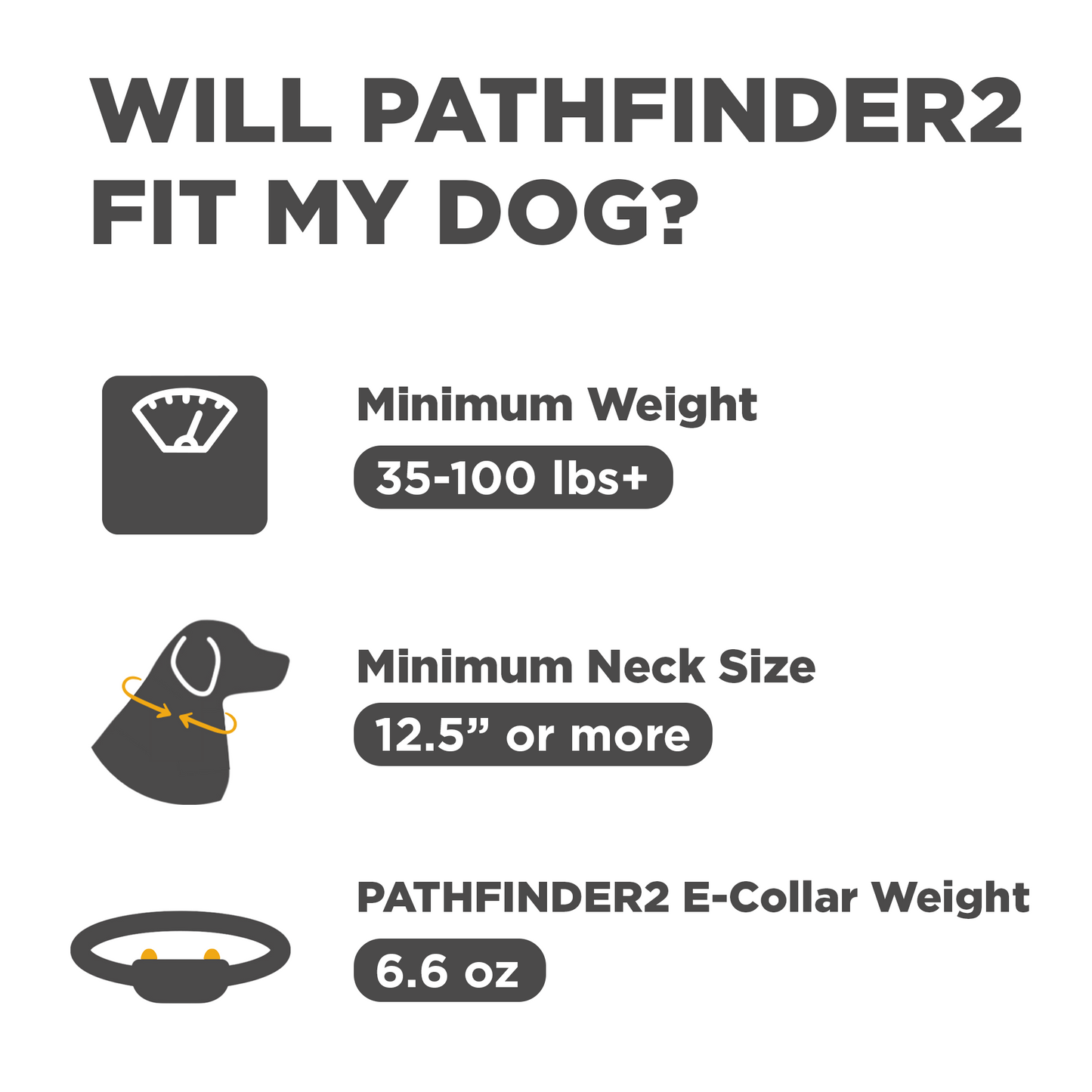 Dogtra Pathfinder 2