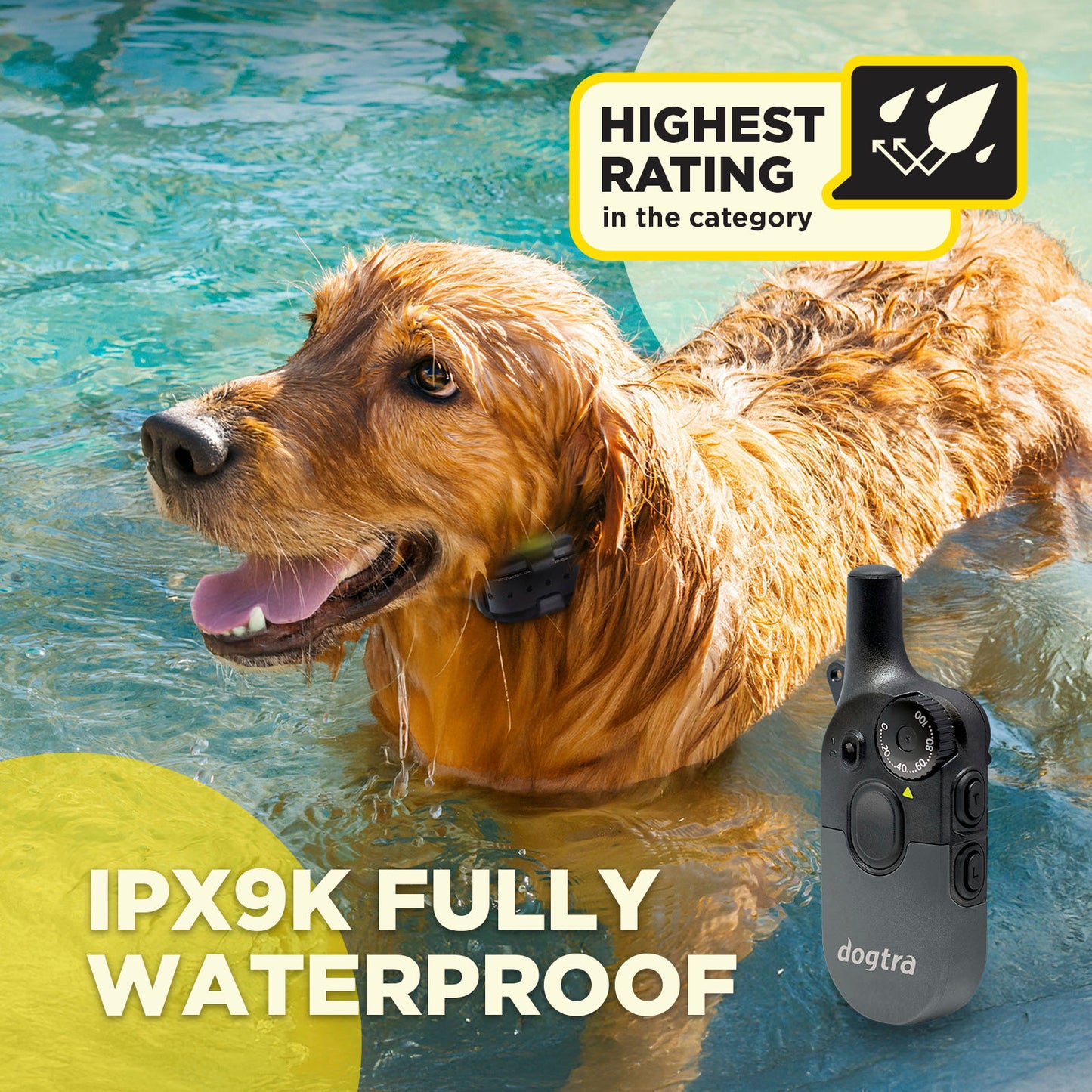 Dogtra 200iQ 1-Dog Unit
