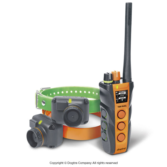 Dual Dial Train & Beep 2-dog