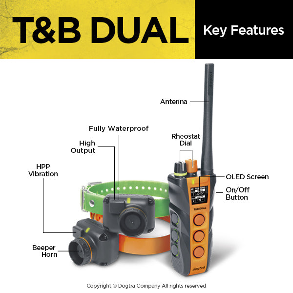 Dual Dial Train & Beep 2-dog