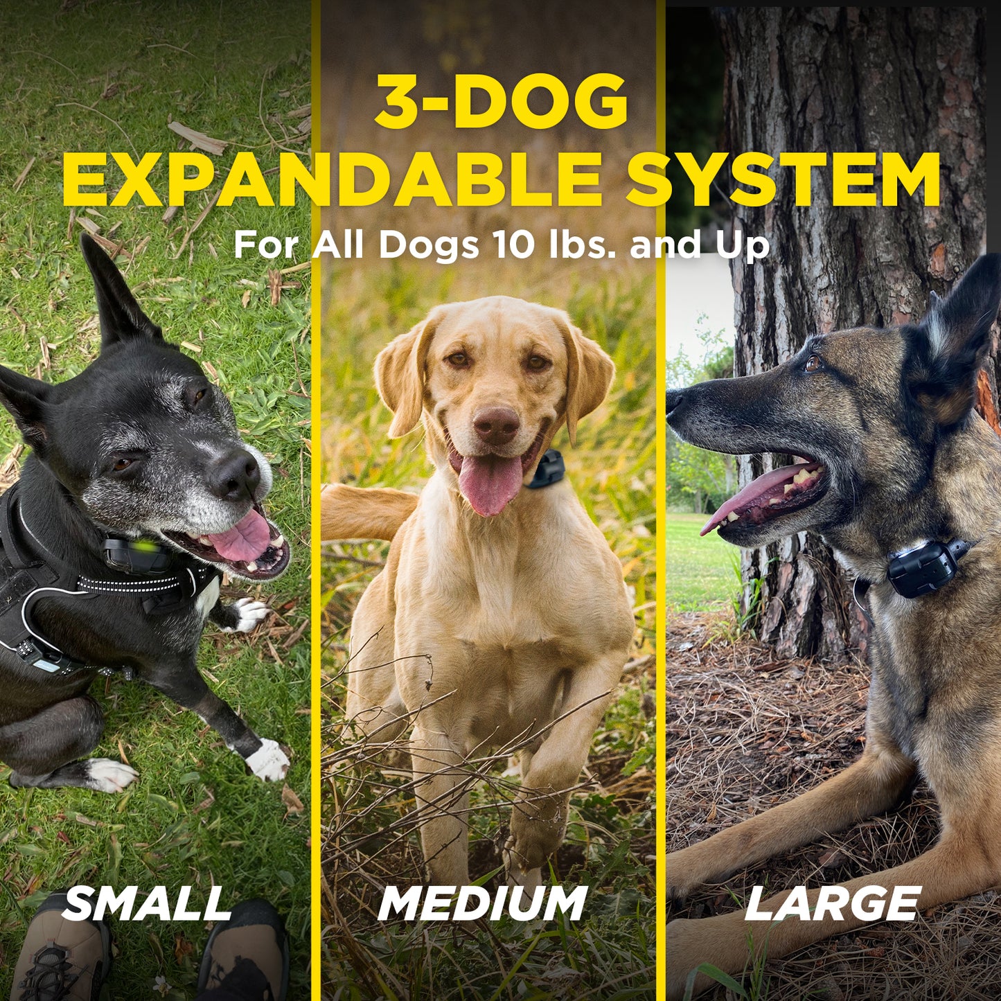 Dogtra 282X 2-Dog Unit