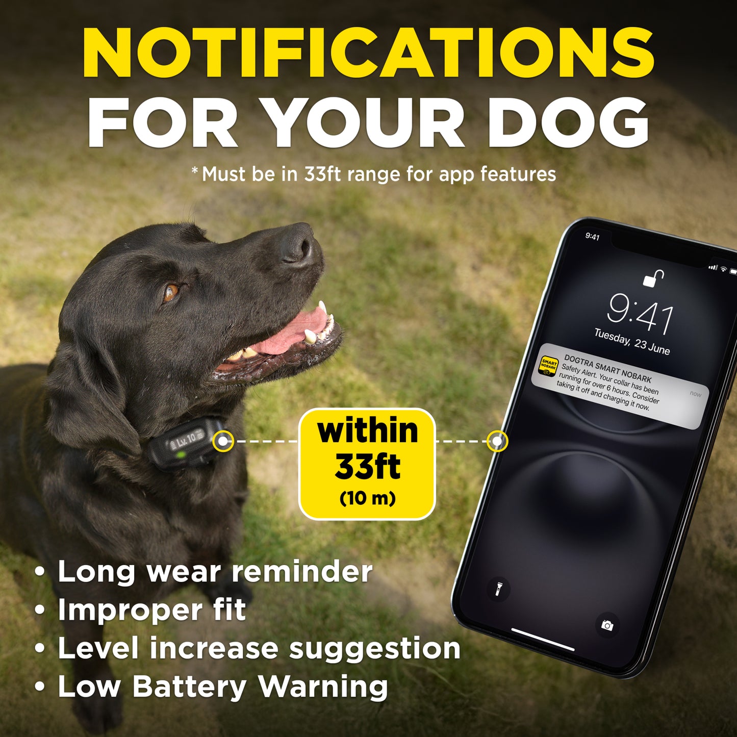 Dogtra Smart No Bark