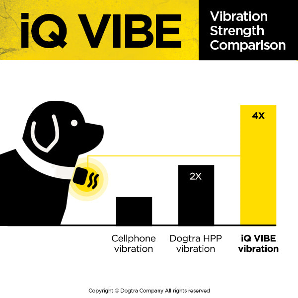Dogtra iQ Vibe