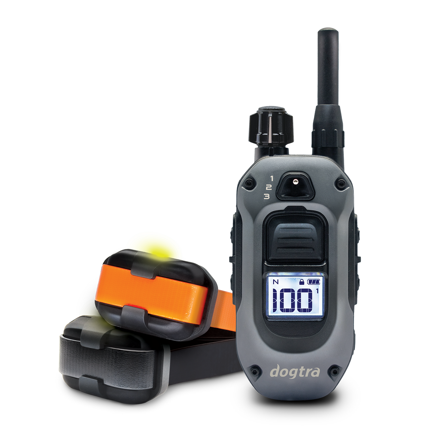 Dogtra 282X 2-Dog Unit