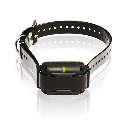 Extra Collar/Receiver for Edge RT