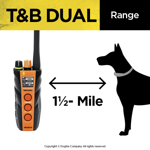 Dual Dial Train & Beep 2-dog