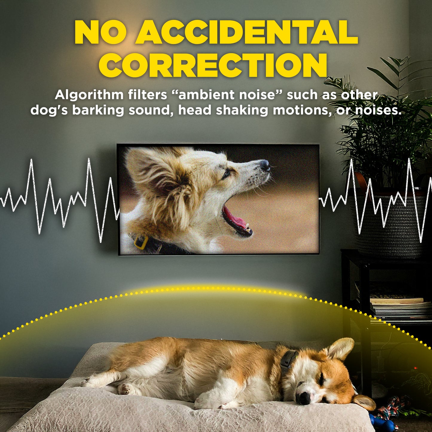 Dogtra Smart No Bark