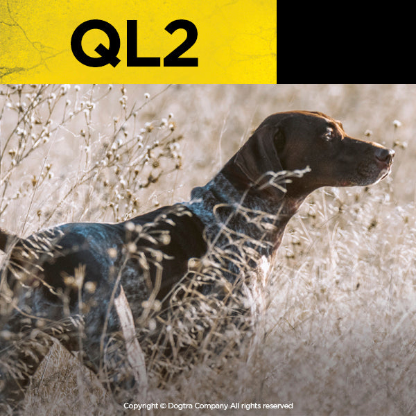 Dogtra QL2 Pheasant Launcher