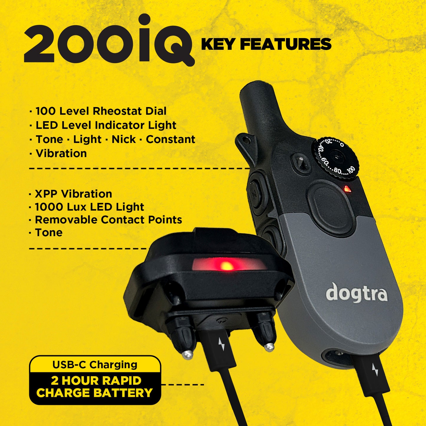 Dogtra 202iQ 2-Dog Unit