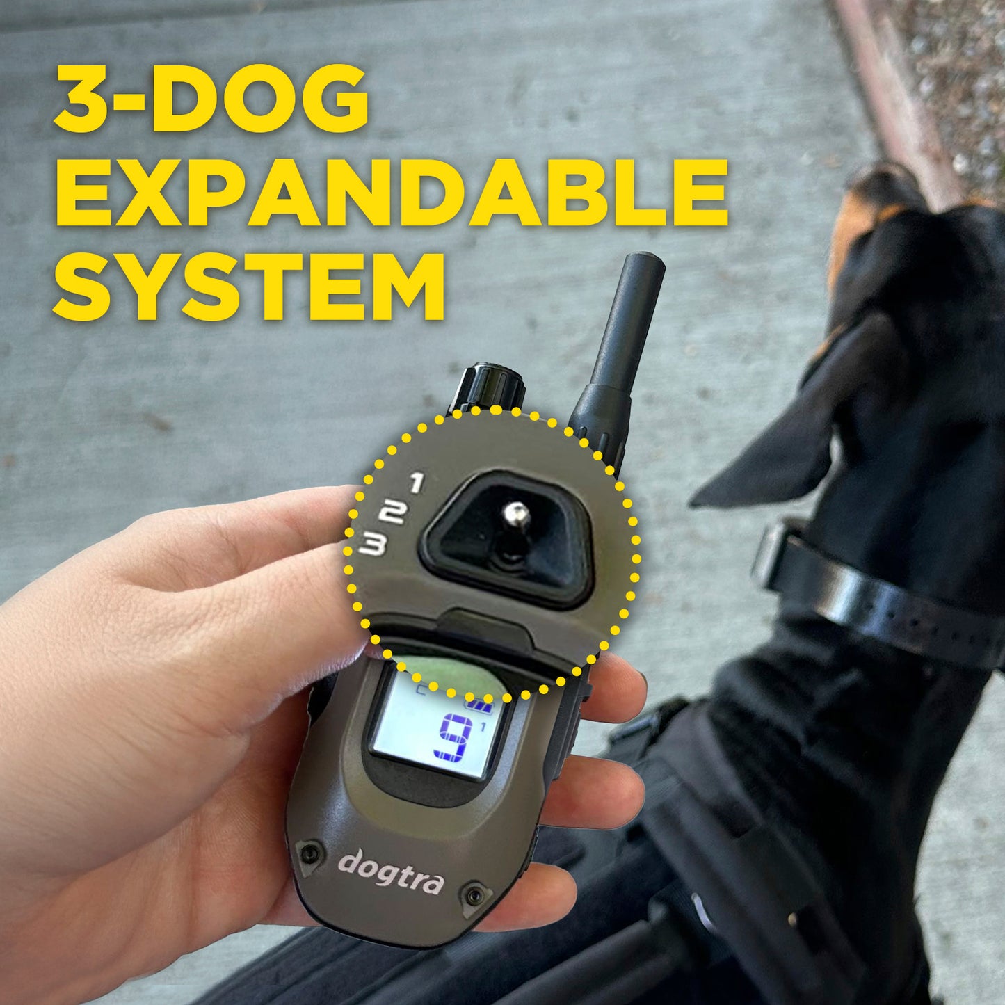 Dogtra 1900X 1-Dog Unit