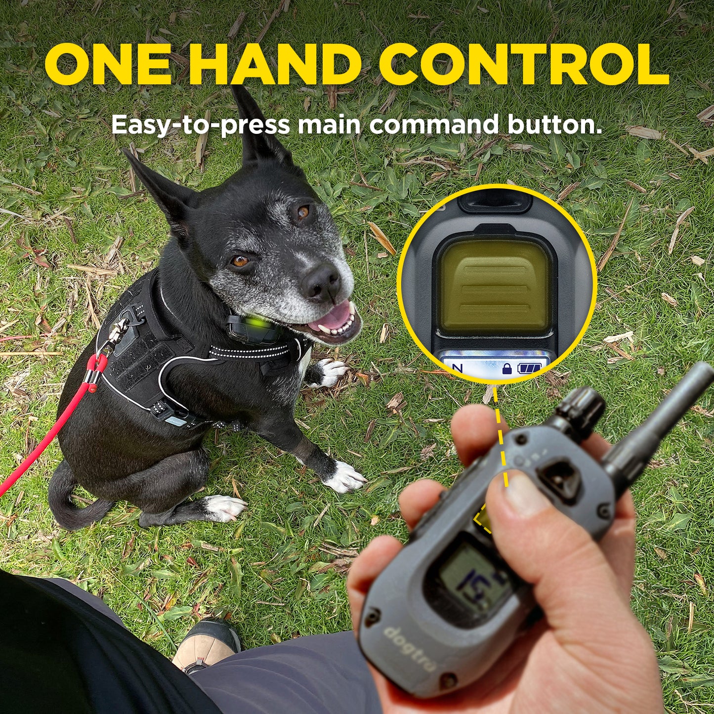 Dogtra 282X 2-Dog Unit