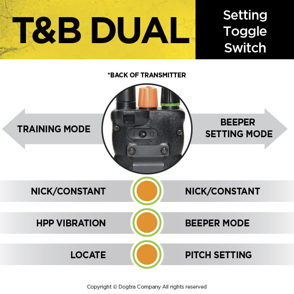 Dual Dial Train & Beep 2-dog