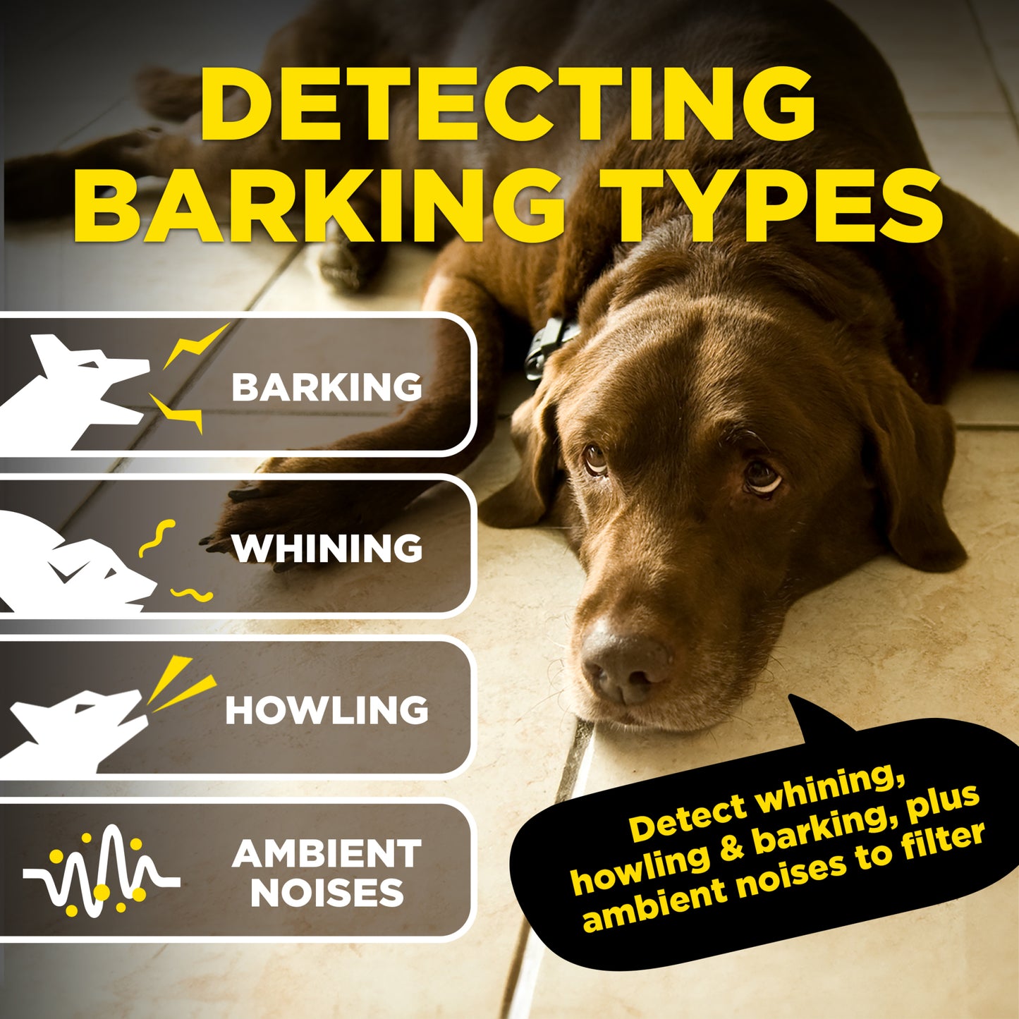 Dogtra Smart No Bark