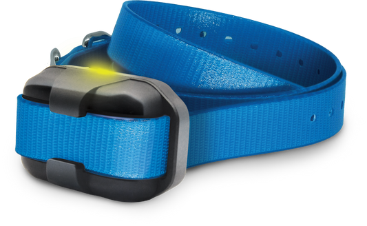 Dogtra 280X Extra Collar/Receiver