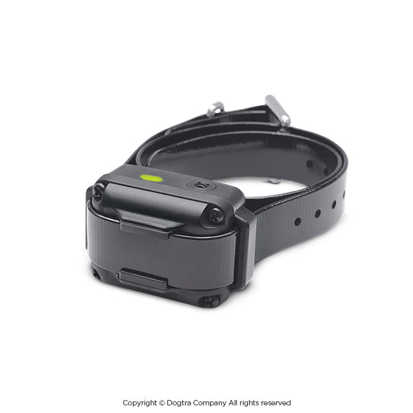 Dogtra iQ Vibe