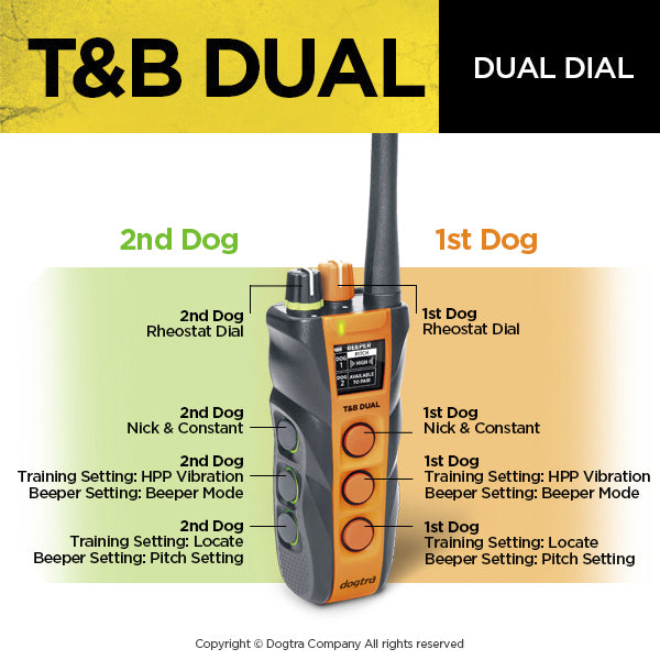 Dual Dial Train & Beep 2-dog