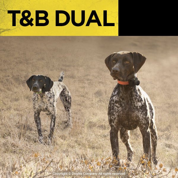 Dual Dial Train & Beep 2-dog