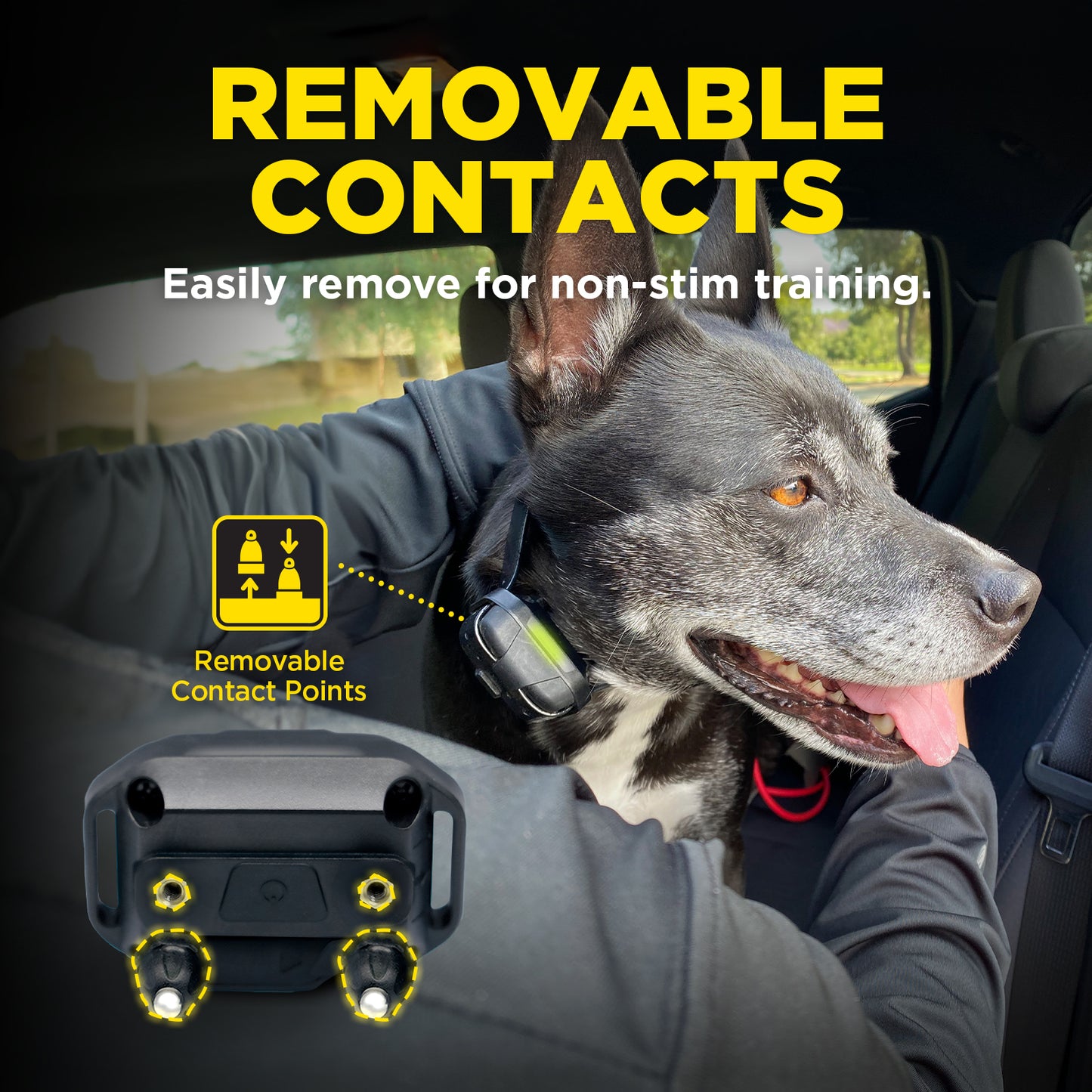 Dogtra 282X 2-Dog Unit