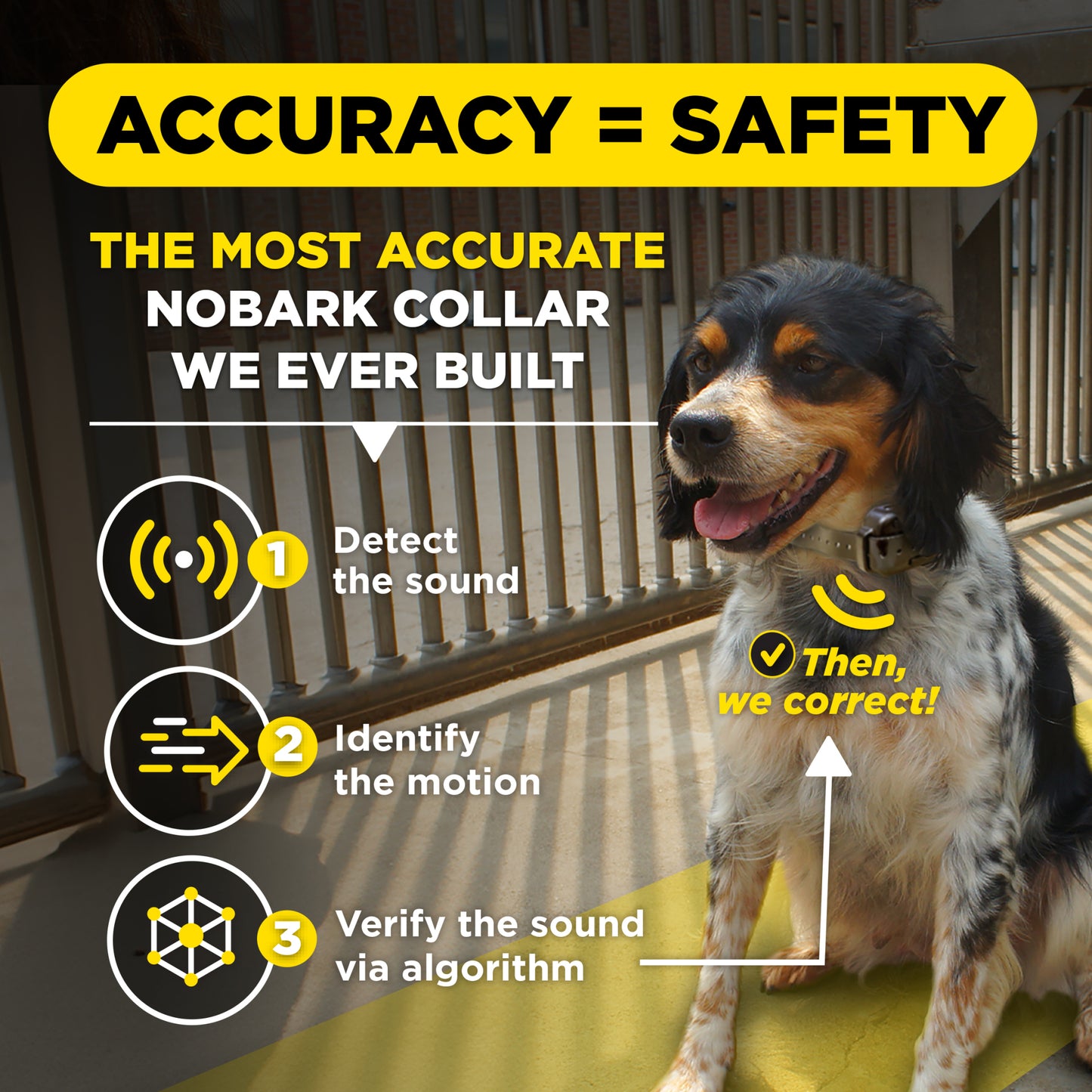 Dogtra Smart No Bark