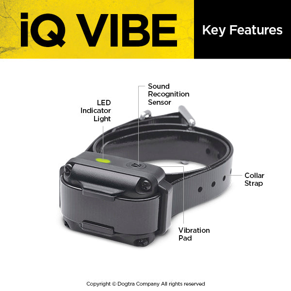 Dogtra iQ Vibe