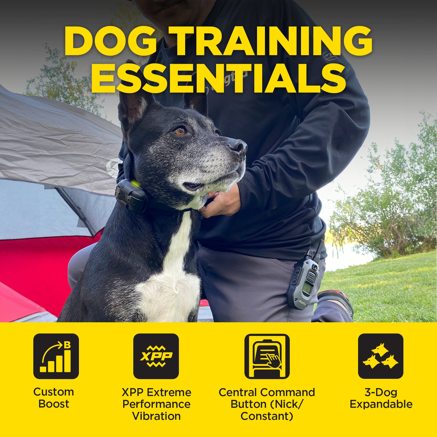 Dogtra 282X 2-Dog Unit