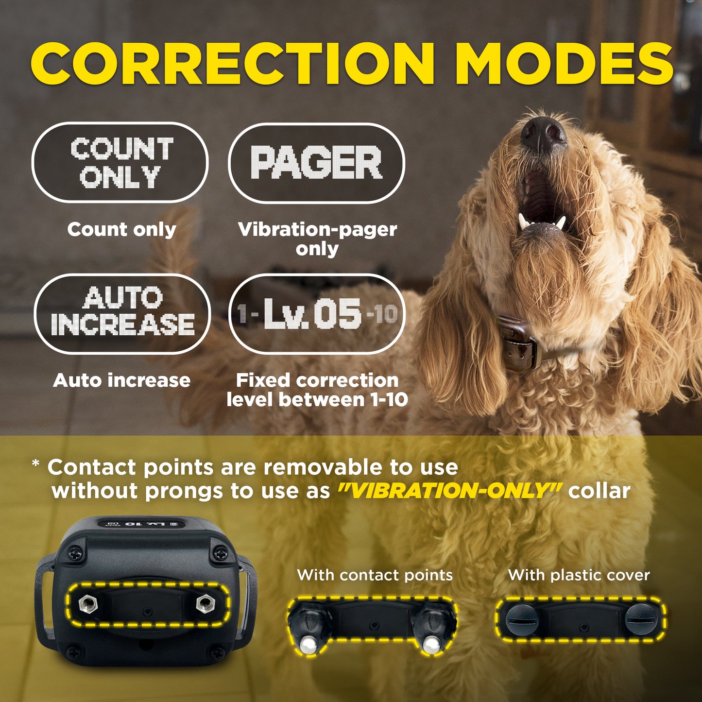 Dogtra Smart No Bark