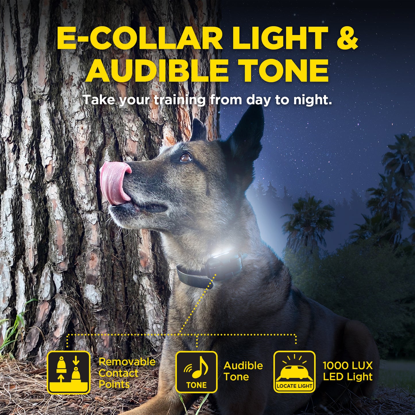 Dogtra 282X 2-Dog Unit