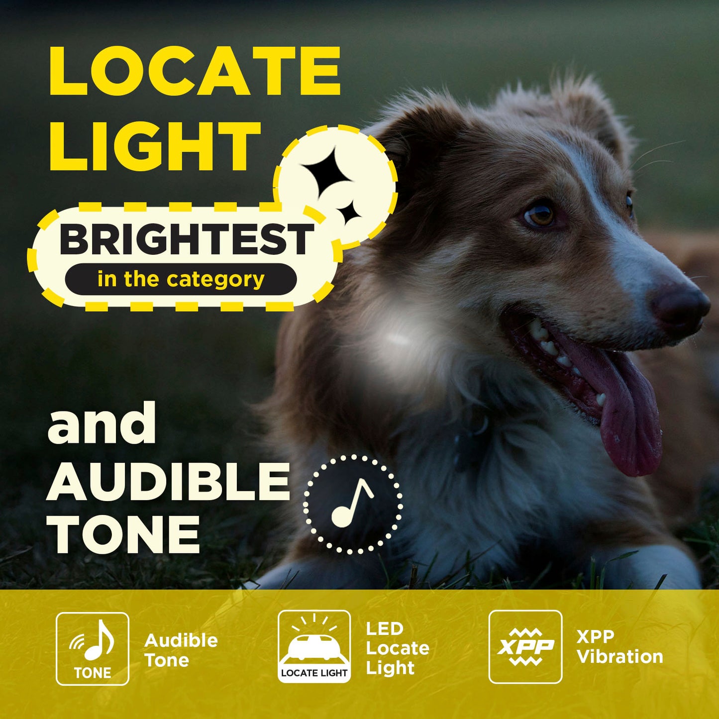 Dogtra 202iQ 2-Dog Unit