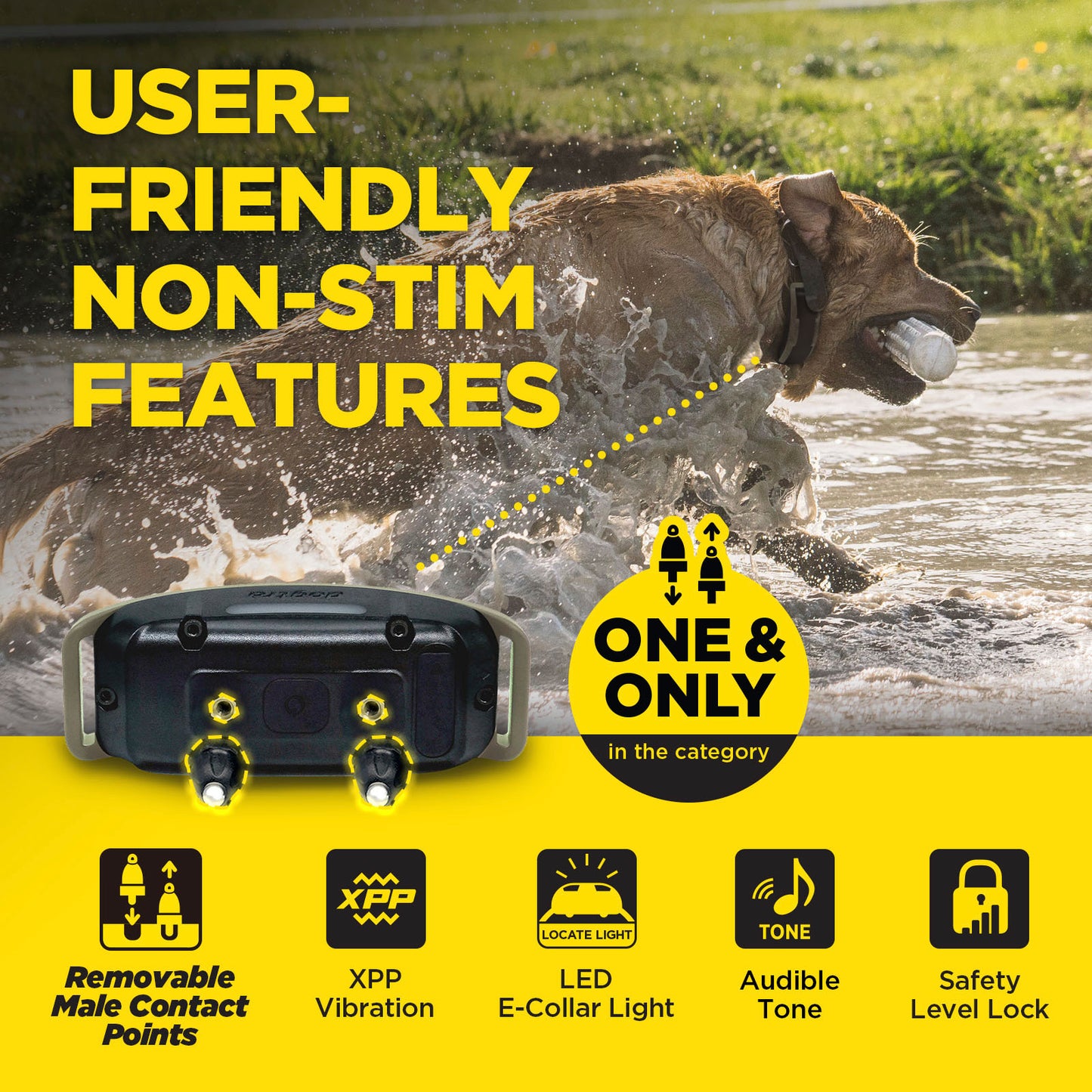 Dogtra 1900X 1-Dog Unit