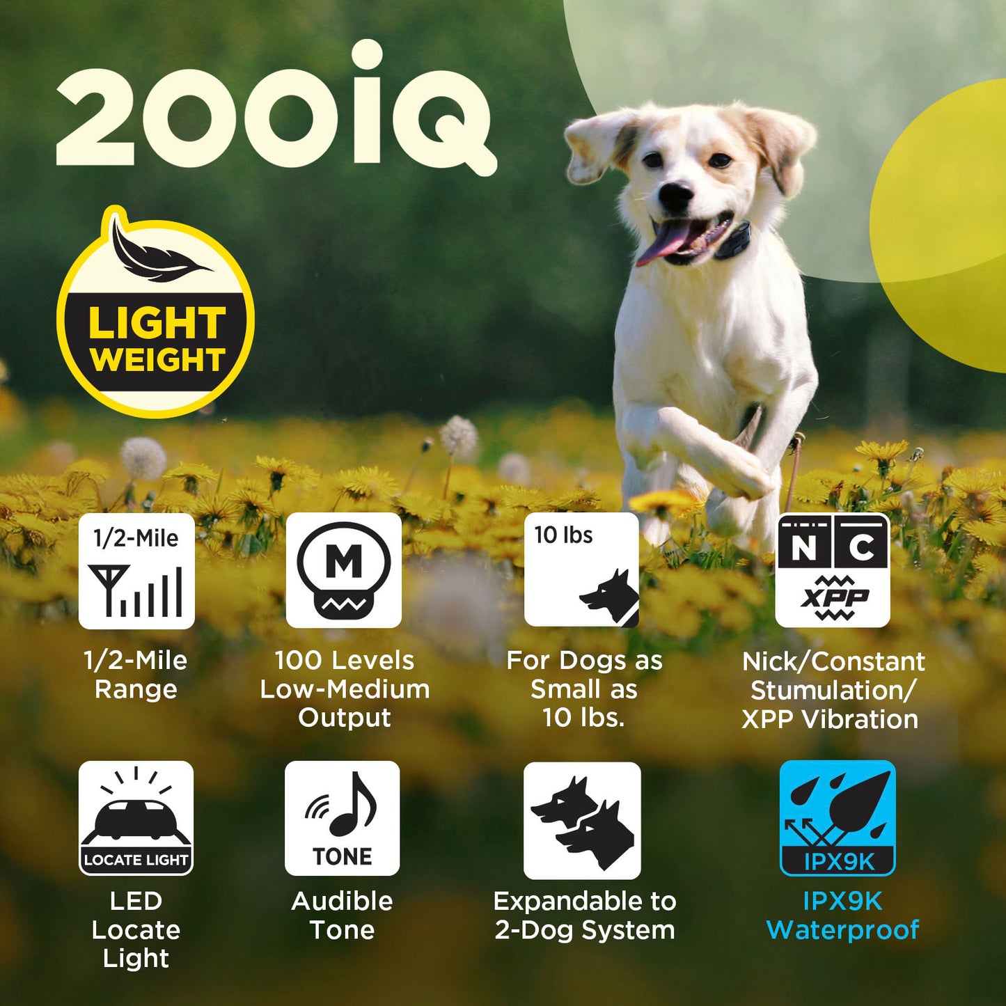 Dogtra 200iQ 1-Dog Unit