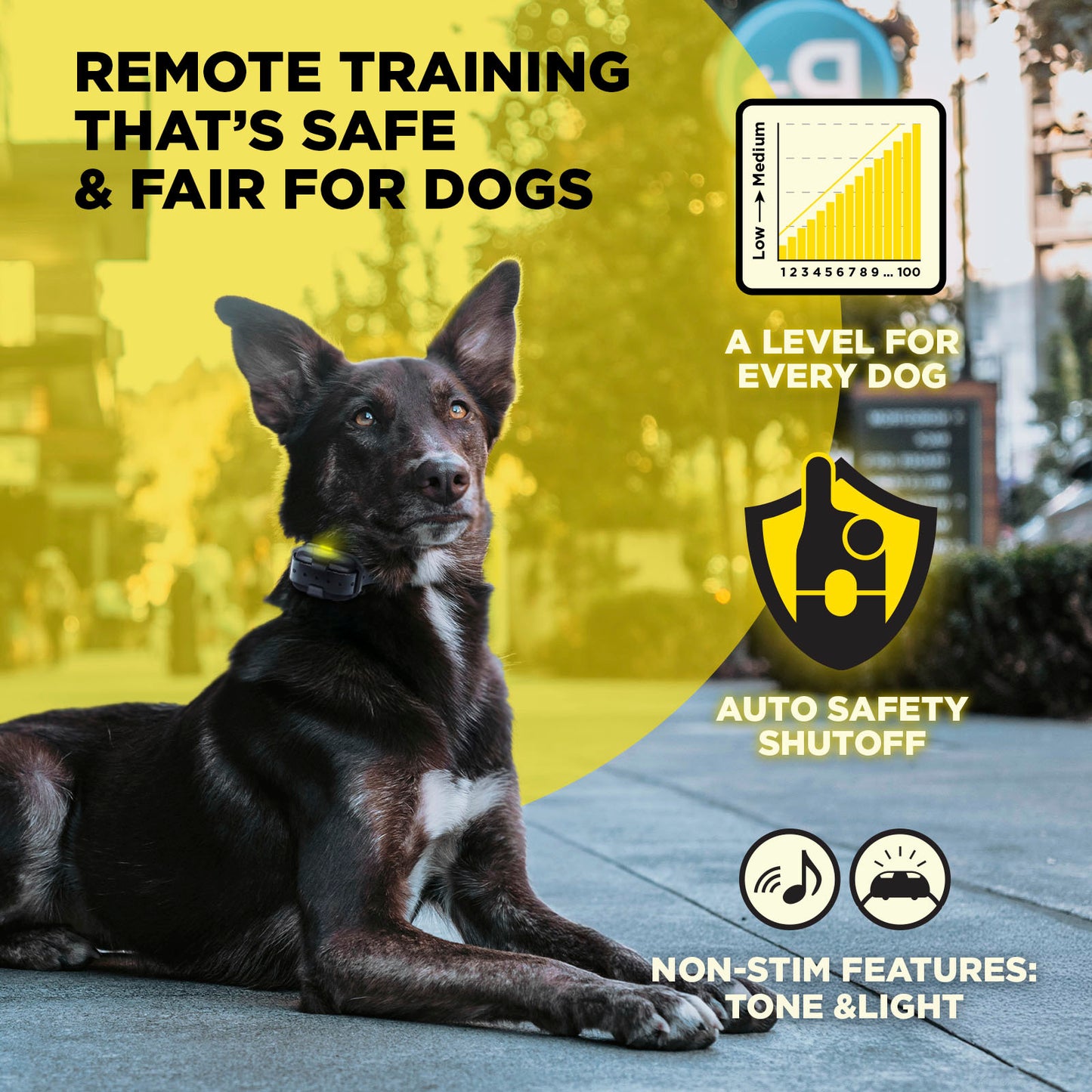 Dogtra 200iQ 1-Dog Unit