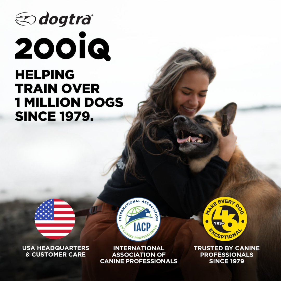 Dogtra 202iQ 2-Dog Unit