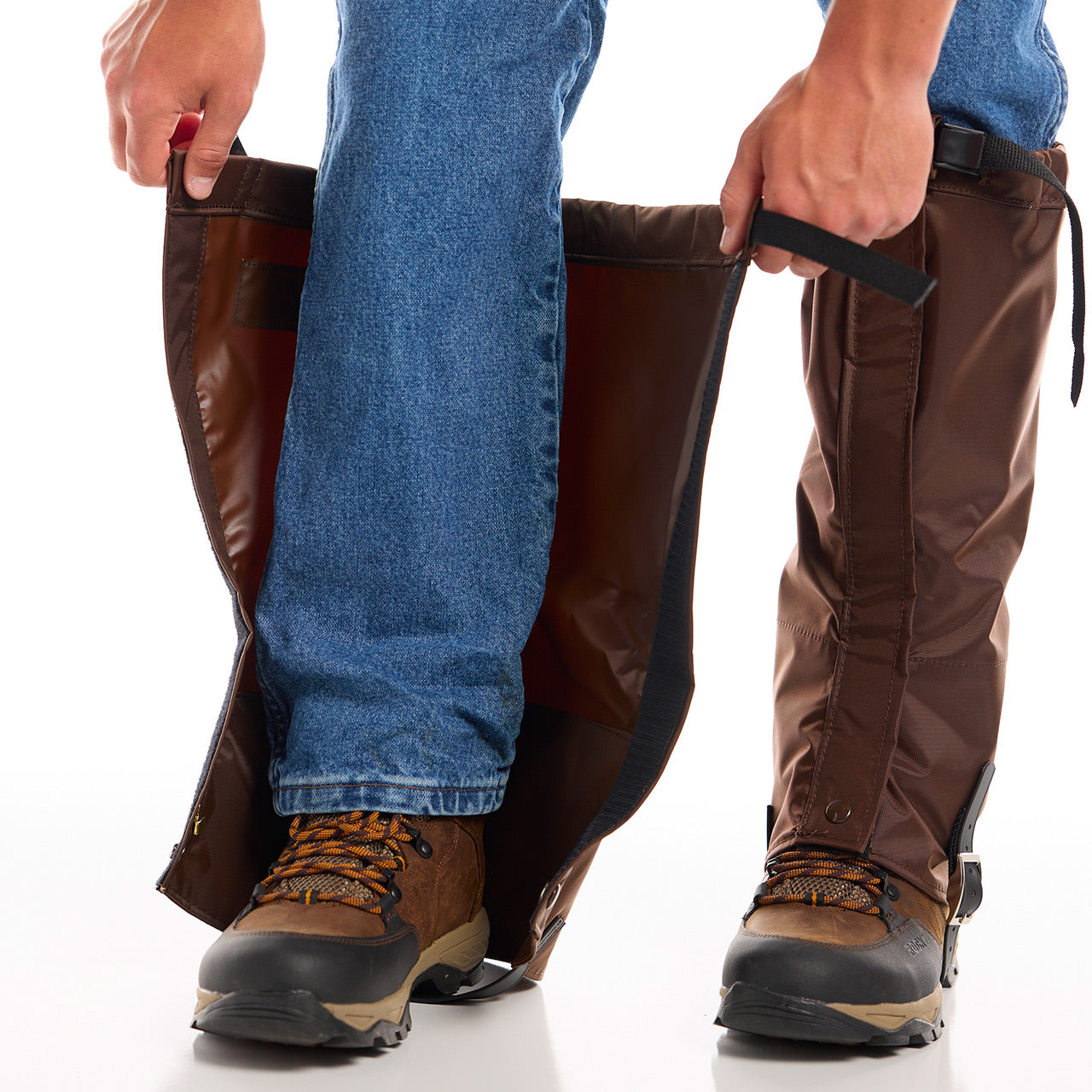 Briarproof Gators