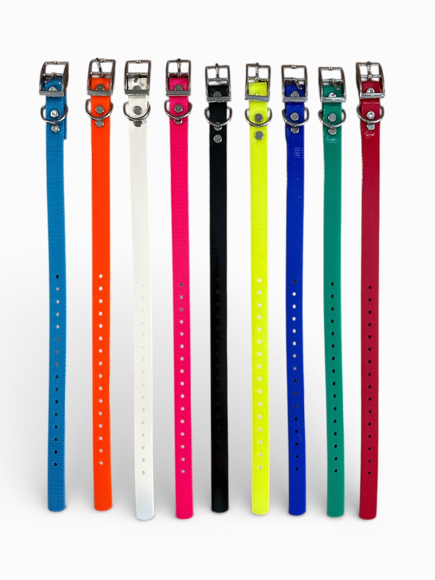 HOS 3/4" Solid Premium D Ring Dog Collar