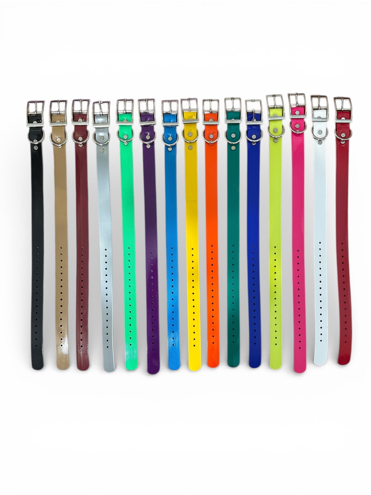 HOS 1" Solid Premium D Ring Dog Collar