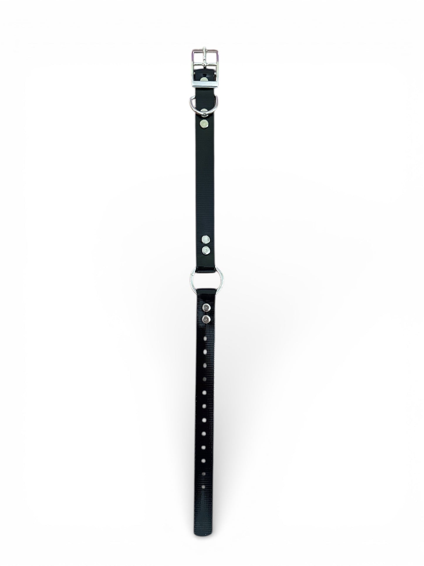 HOS 3/4" Solid Premium Center Ring Dog Collar