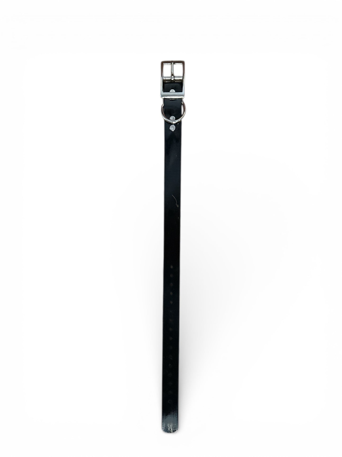 HOS 1" Solid Premium D Ring Dog Collar
