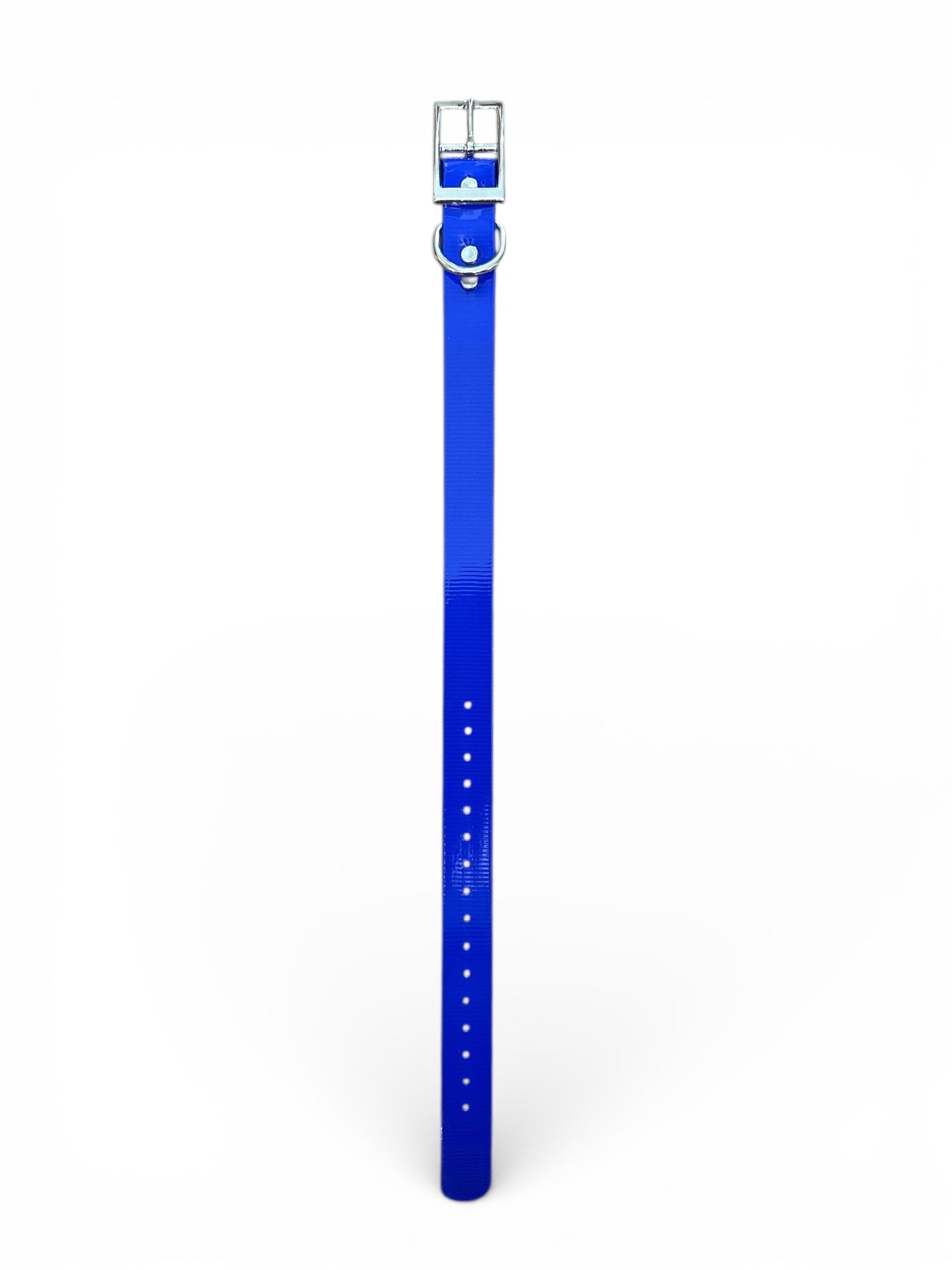 HOS 1" Solid Premium D Ring Dog Collar