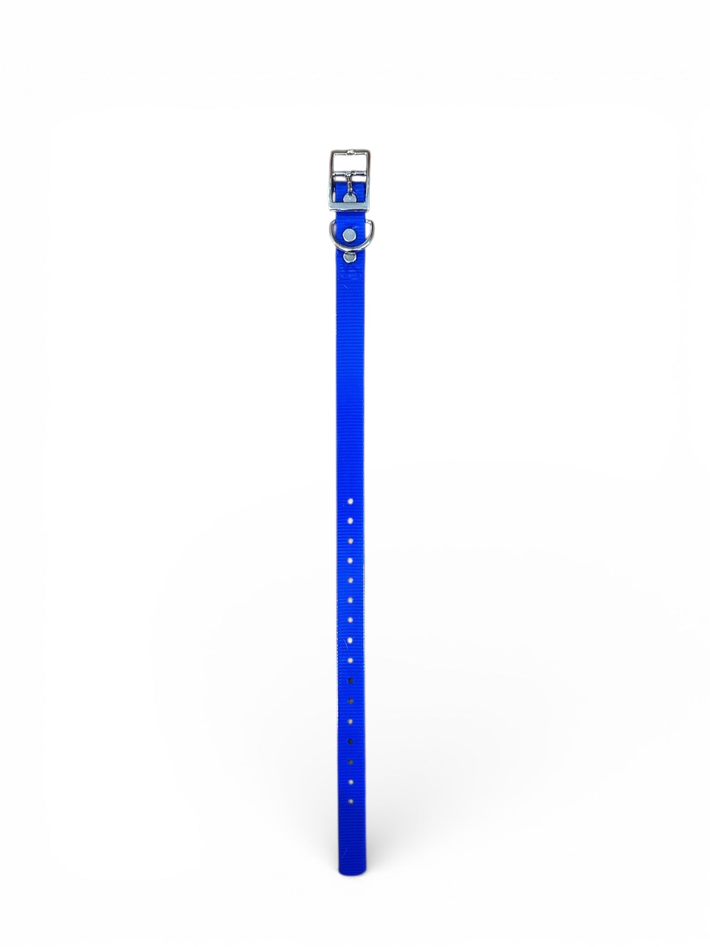 HOS 3/4" Solid Premium D Ring Dog Collar